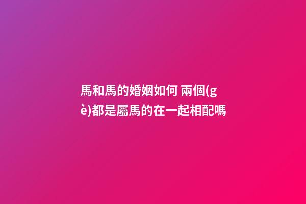 馬和馬的婚姻如何 兩個(gè)都是屬馬的在一起相配嗎-第1張-觀點(diǎn)-玄機(jī)派